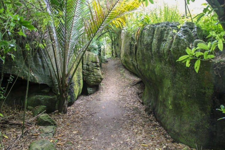 Labyrinth Rocks Park Nz The Best Golden Bay Walks for Short Adventures