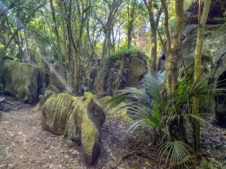 Awesome Things to Do in Pohara, NZ