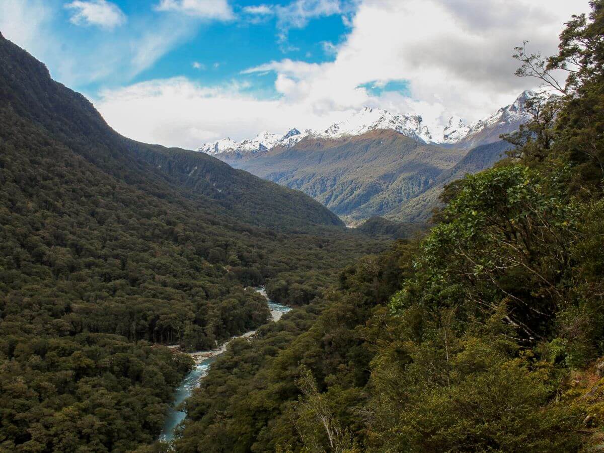 Panorama at Milford Sound New Zealand