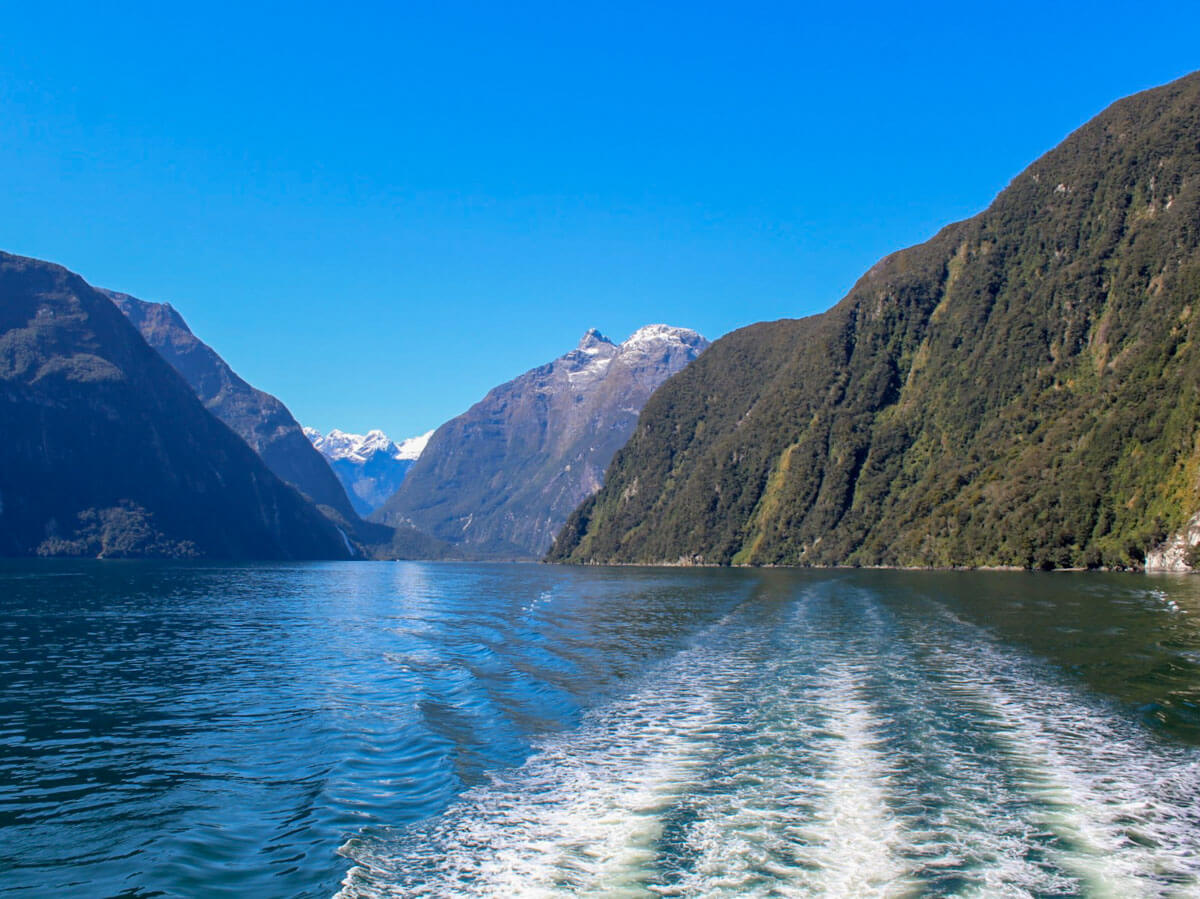 Cruise view at Milford Sound New Zealand