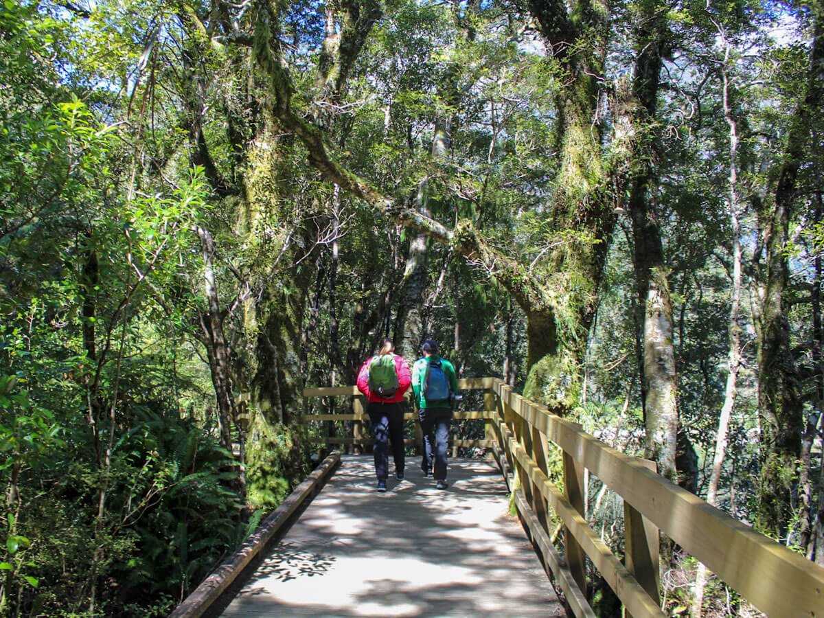 Walking at Milford Sound New Zealand